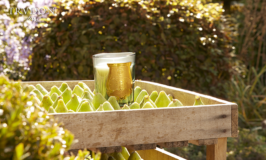 NEW 피겨리 컬렉션